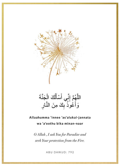 Abu Dawud - Avem